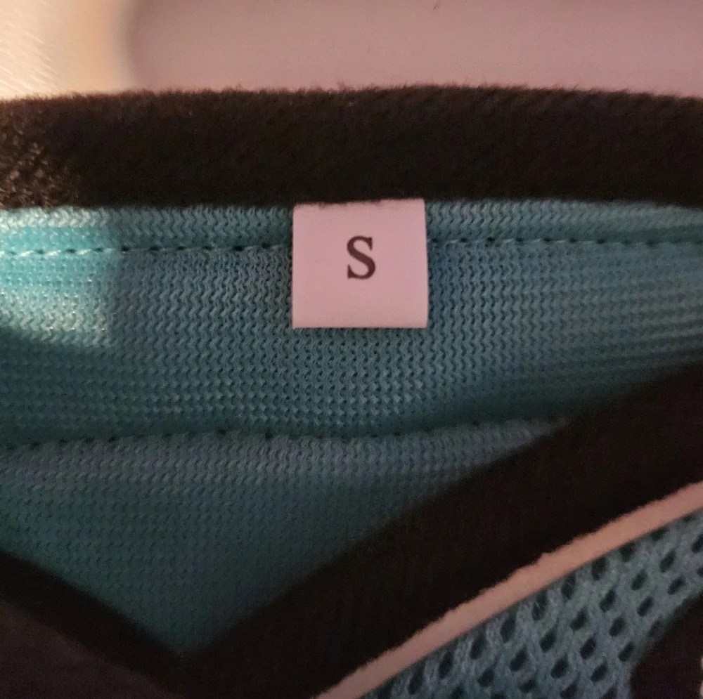Small animal harness in teal with leash